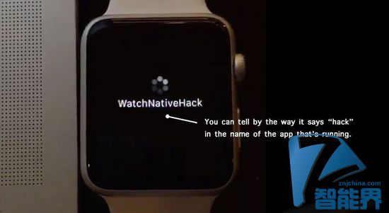 Apple Watch SDK被黑？